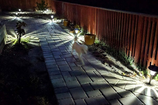 4 cách trang trí đèn sân vườn cơ bản mà bạn nên thuộc nằm lòng