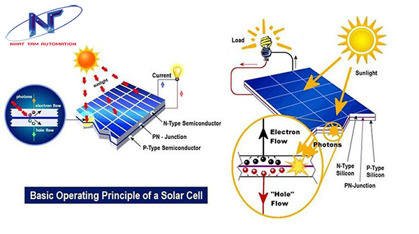 te bao quang dien solar cell 3